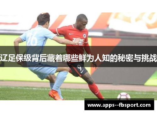 辽足保级背后藏着哪些鲜为人知的秘密与挑战